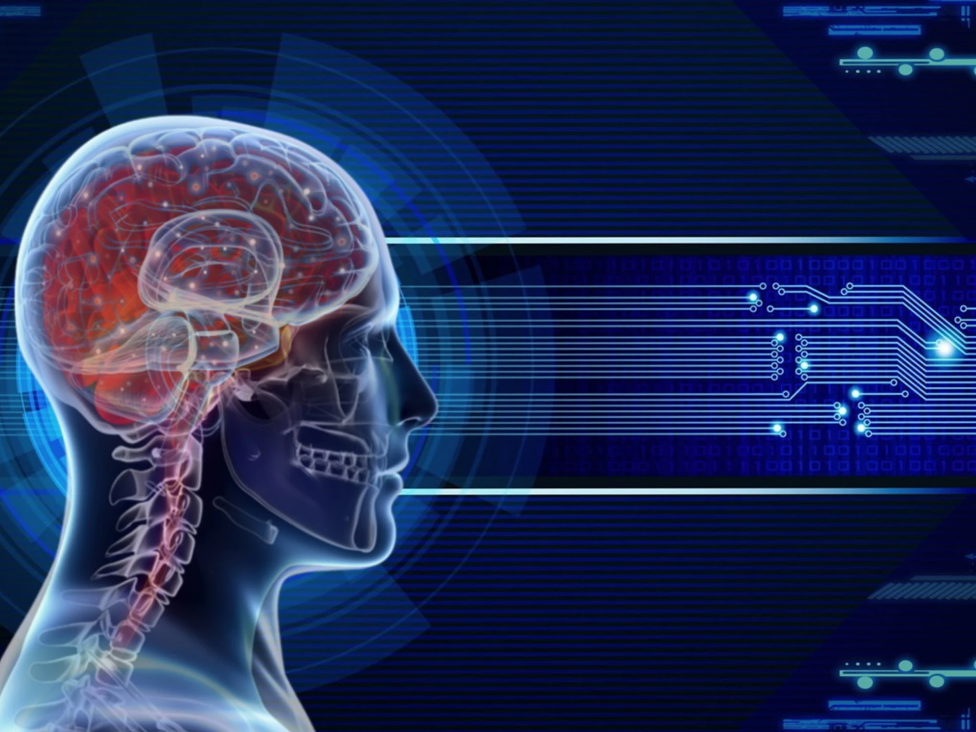 Ecco cosa fa il cervello quando crediamo di "non pensare"