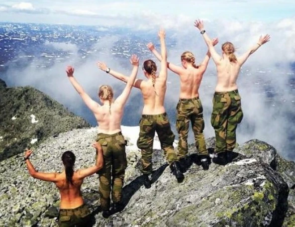 593x456