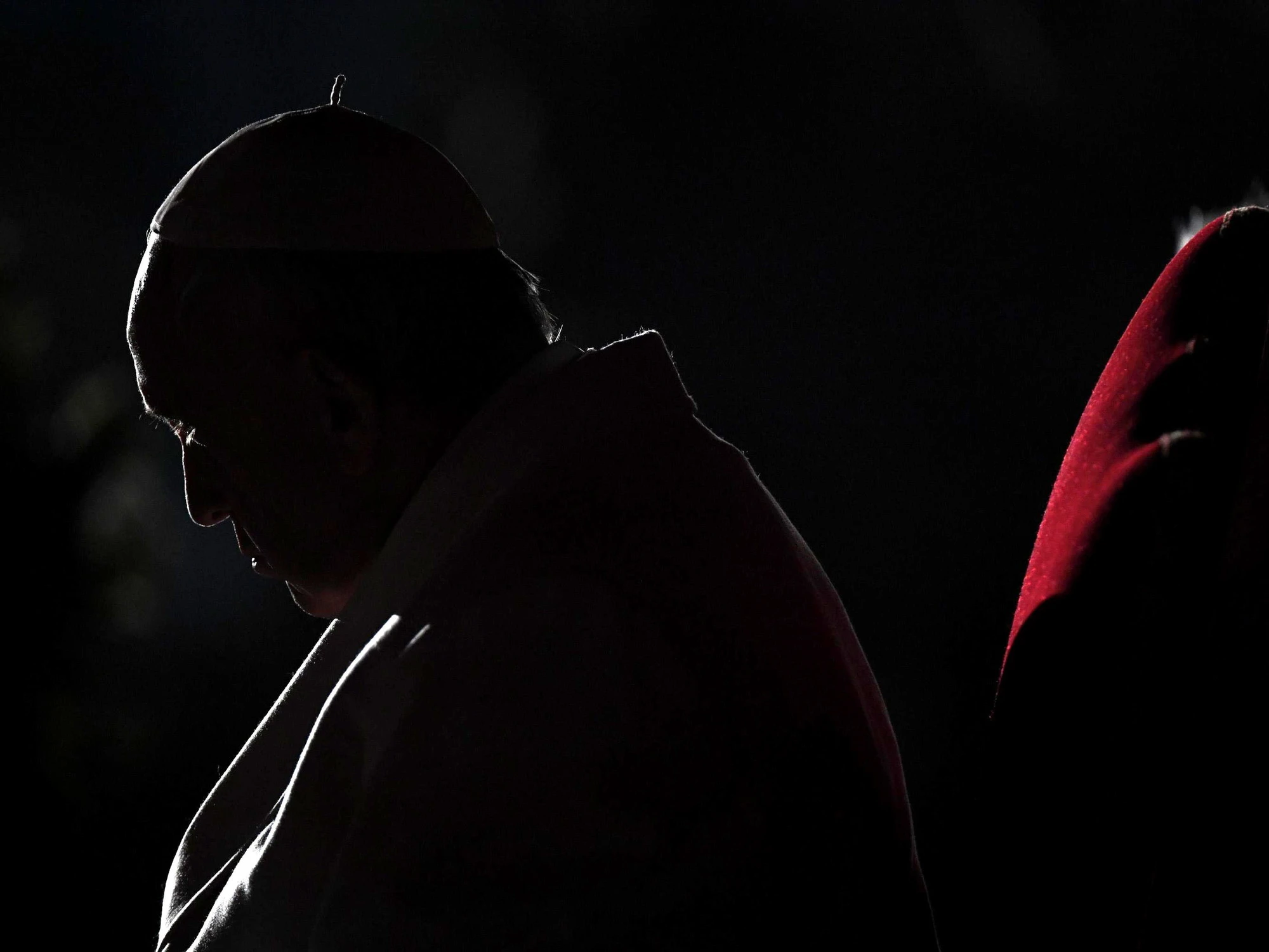 Papa Francesco, l'esperto: "Doveva riposare e non l'ha fatto"