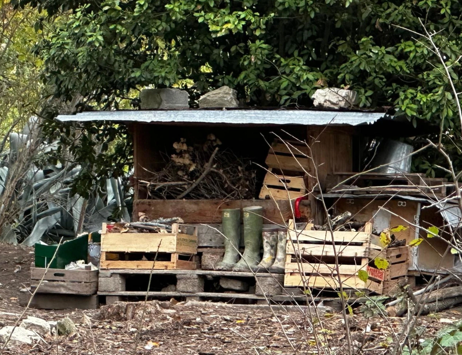 I giudici italiani criticati anche dai media stranieri: "Errore allontanare i figli"