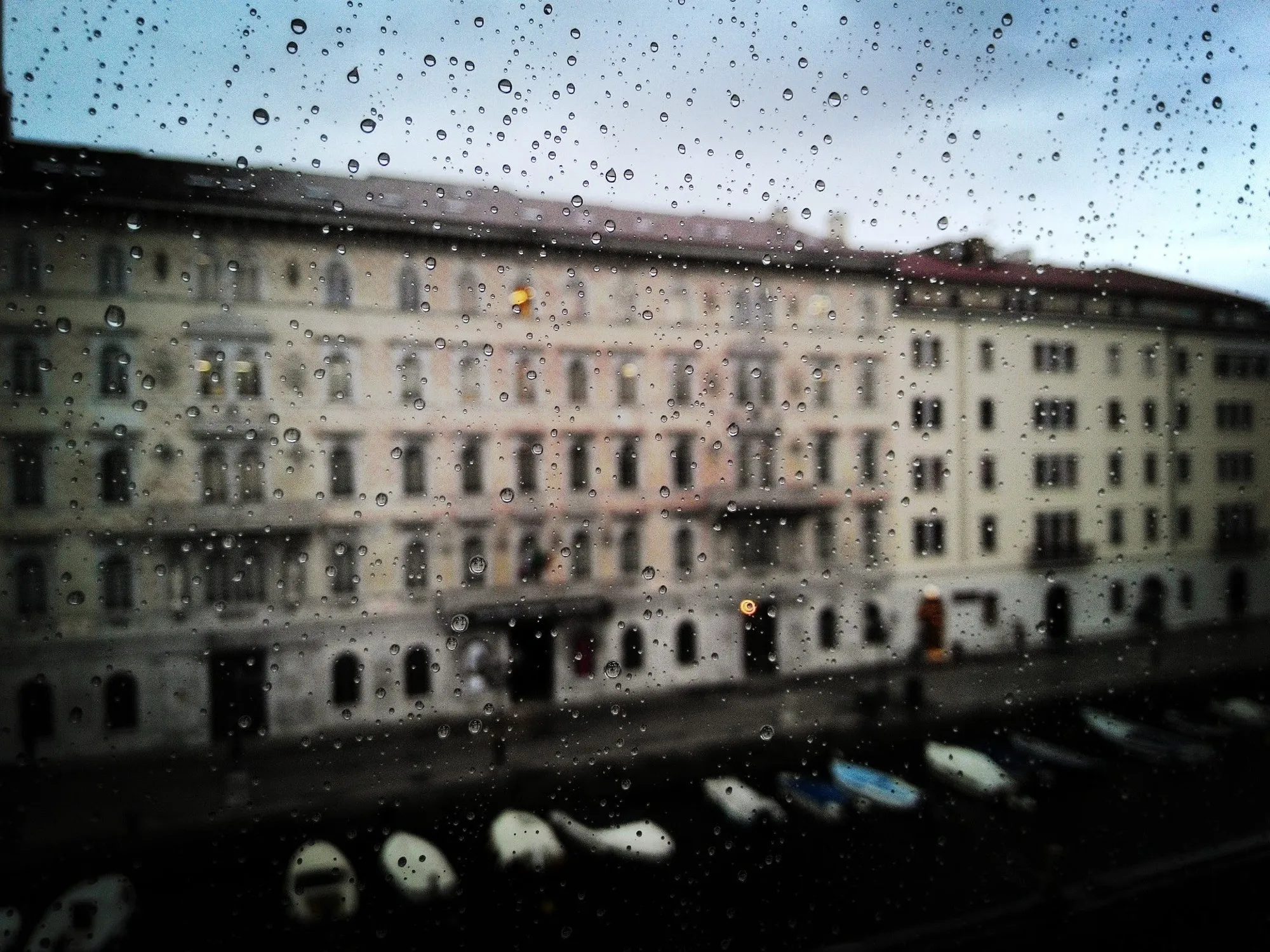 Leggi l'articolo: I volontari pro-migranti stufi dei migranti violenti: cortocircuito a Trieste