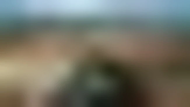 https://media.liberoquotidiano.it/L2Il6jUoyUcMR7QBfnWXvwpQsQU78BzwEJNywP3ial4/width:800/quality:90/aW1hZ2VzLzIwMjYvMDUvMDUvMTM0ODAwMzg2LWU1ZGQxNmU0LTJlZGYtNDIzOS04MmMwLTQ1MDE5OTgwOTZmYi5qcGc.webp