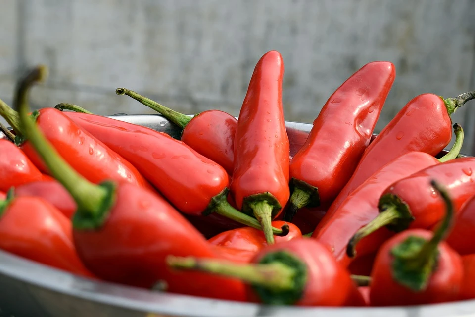 Peperoncino, rischio infarto ridotto del 40% e di ictus del 60%: quante volte assumerlo a settimana