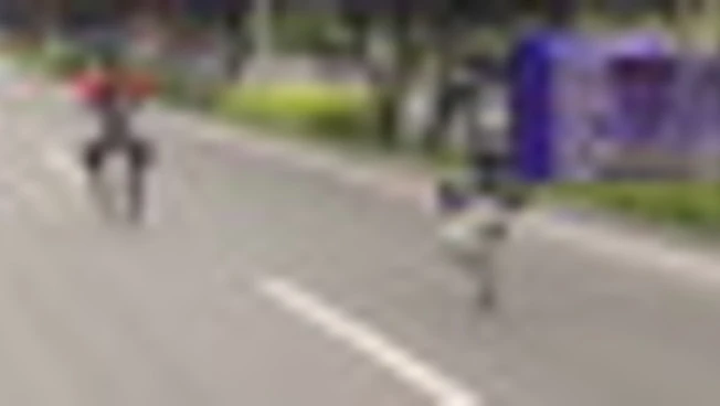 Robot che corrono più veloci dell'uomo: la sfida è già realtà