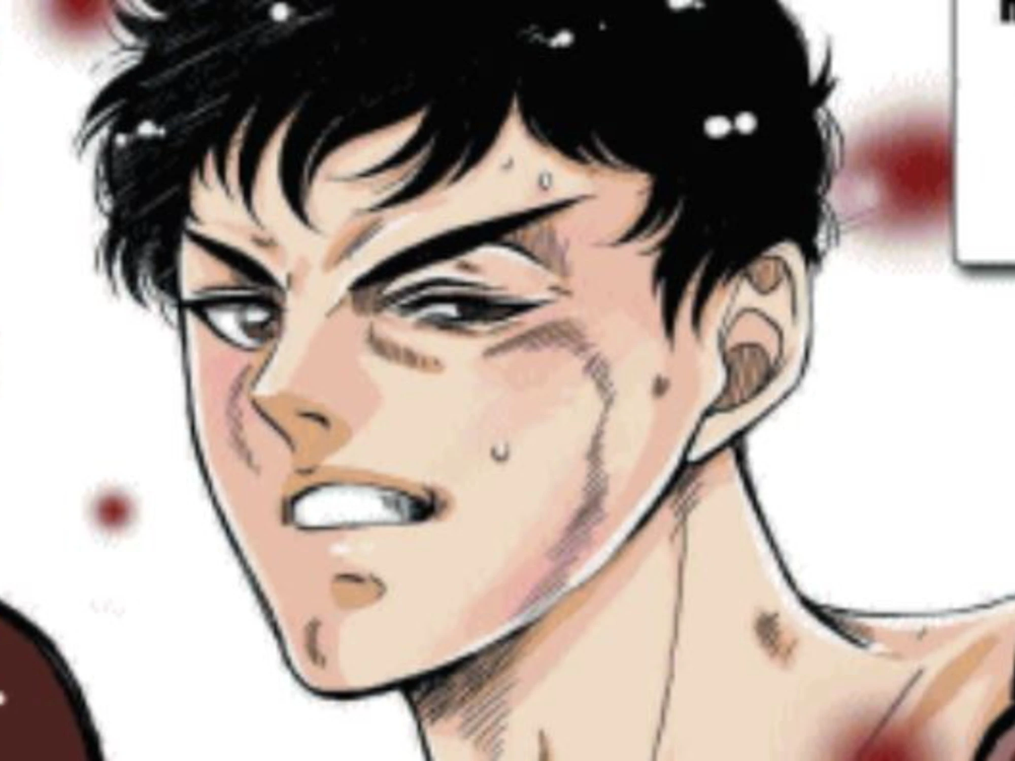 I manga sono i moderni romanzi di formazione