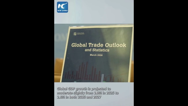 OMC, il conflitto in Medio Oriente rallenta crescita del commercio globale