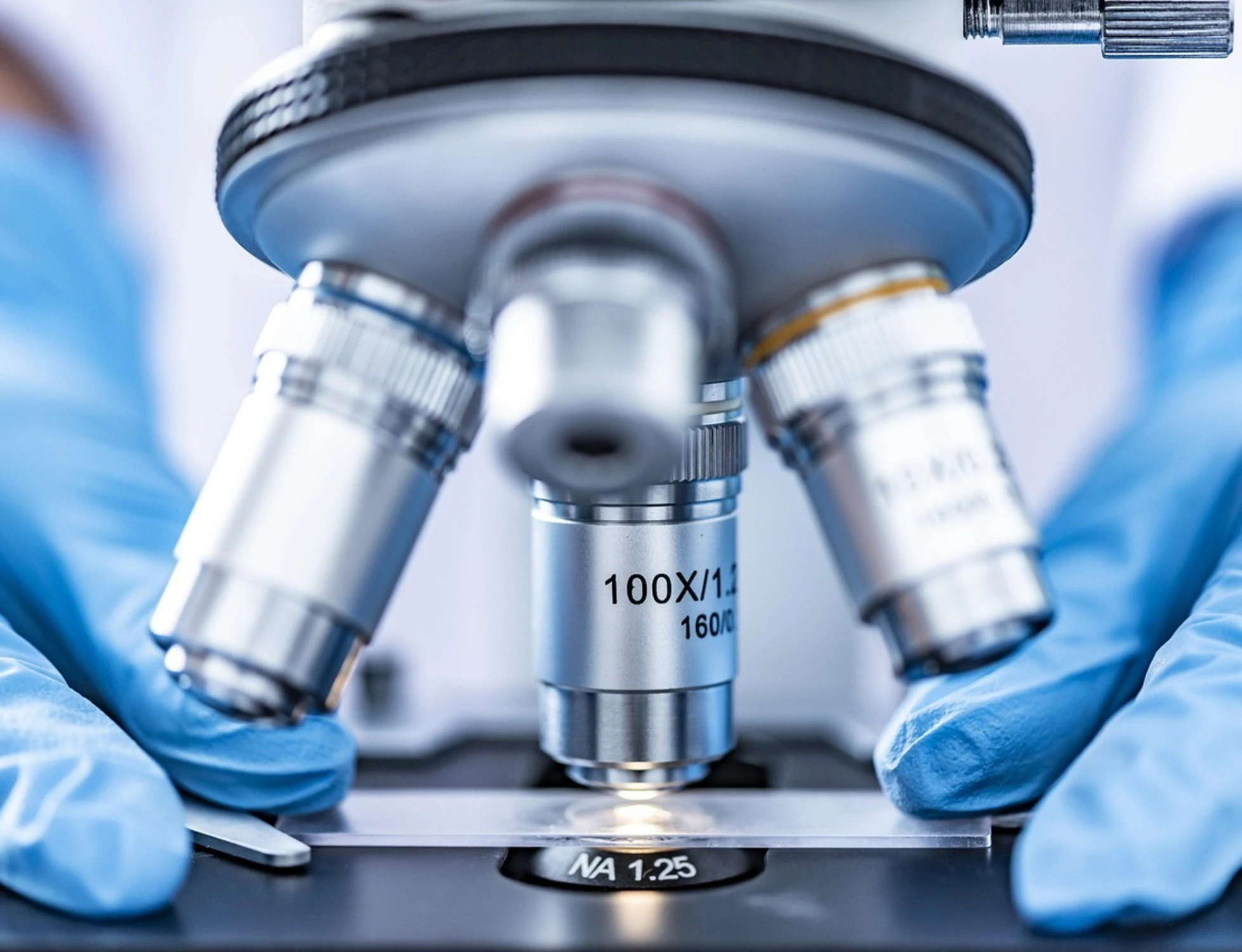 La rivoluzione della medicina: staminali  che ridanno forza ed autonomia agli  anziani 