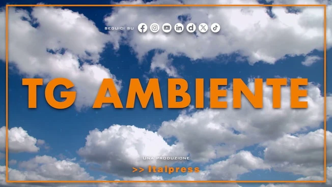 Tg Ambiente - 28/6/2026