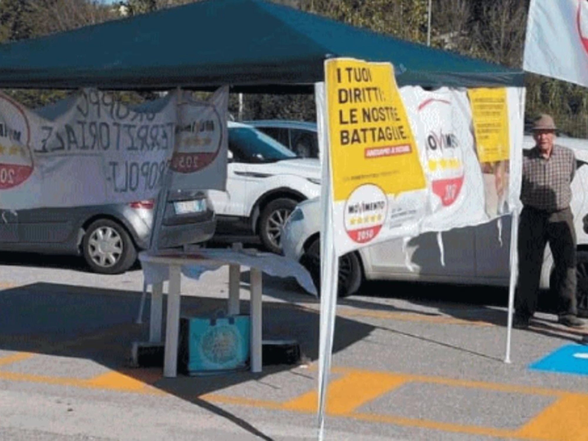 Grillini in sosta sullo stallo disabili