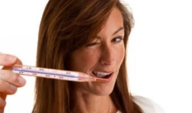 "Il cane s'è spaventato, non vengo"Le scuse folli per non lavorare