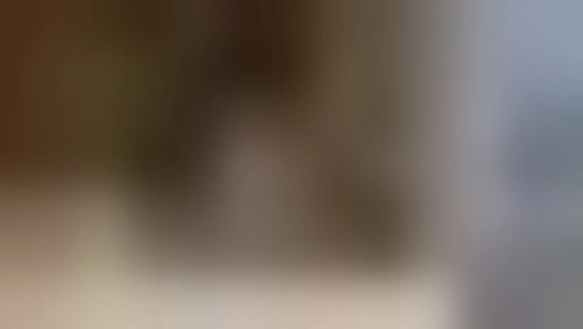 Novorojen snežni lev na Češkem živalskem vrtu