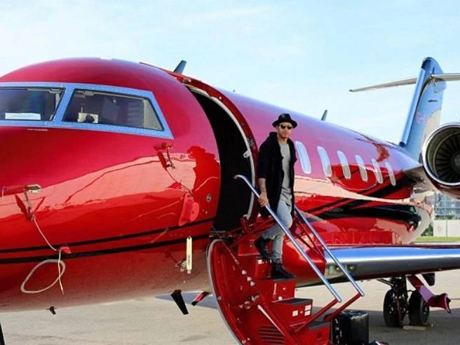 Lewis Hamilton vende il suo jet da 23 milioni di sterline con cui trasportava i suoi cani (scelta ecologica)
