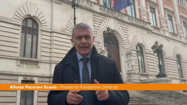 Pecoraro Scanio "No all'accordo-truffa Mercosur, senza reciprocità è Far West"