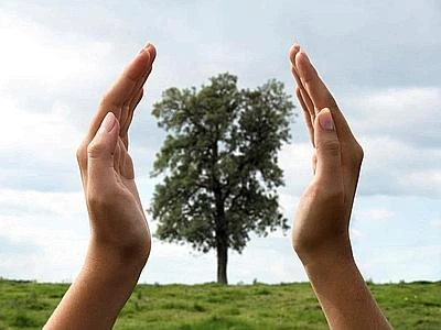 Sostenibilita', per 67% Ceo aziende non fanno abbastanza