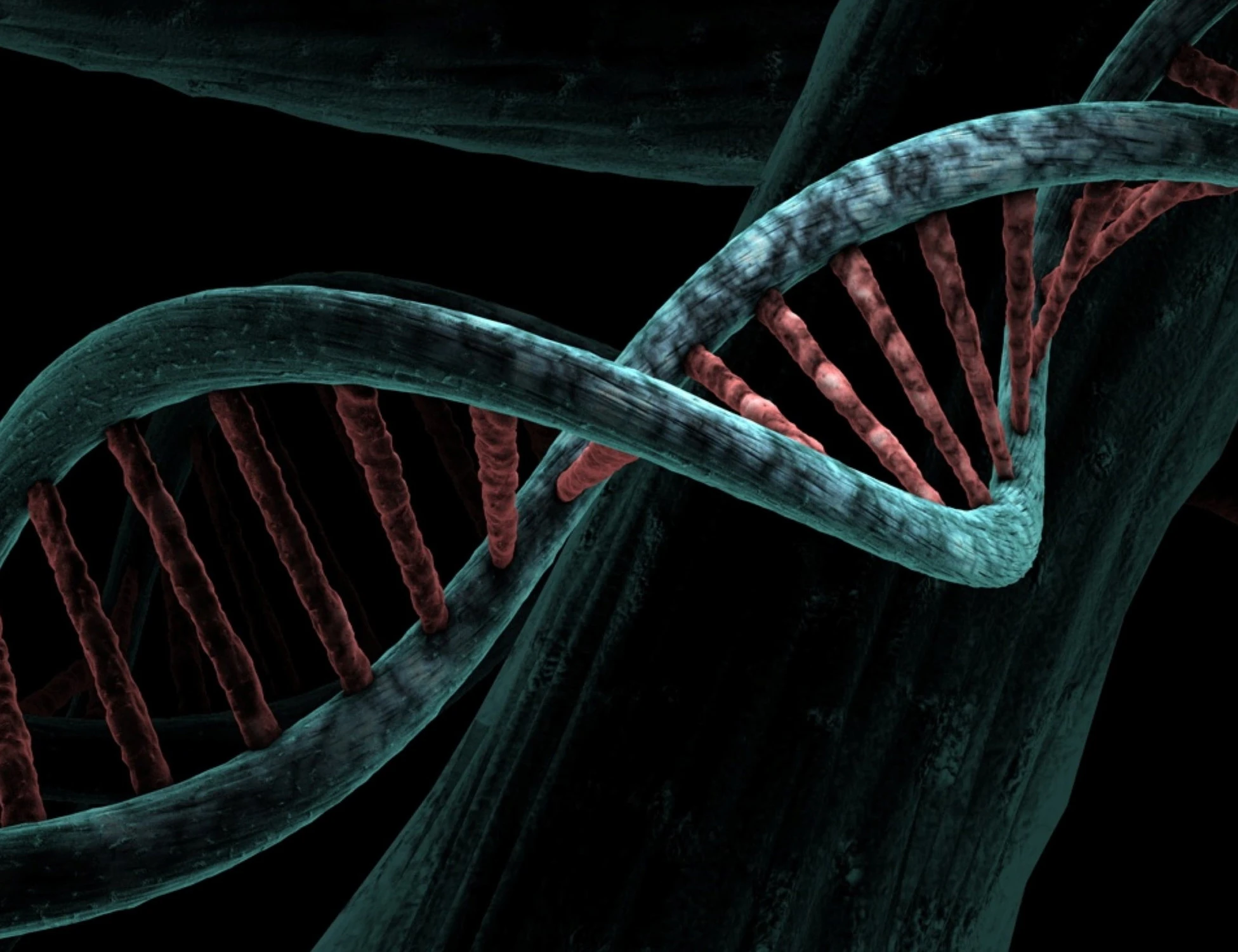 Cancro ereditario, svolta nella genetica: un test di laboratorio distingue i geni pericolosi da quelli innocui