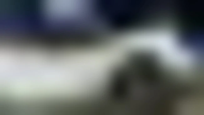 https://media.liberoquotidiano.it/LWA6w5_sDp7NiKnnYbaJ5VSb27ykQJOqxyFgd1csYzE/width:800/quality:90/aW1hZ2VzLzIwMjYvMDUvMDQvMDgyMjM0MDgxLTA0YzNiNWU1LTA0ZTktNDU3NC1hYmVjLWE3N2NhMmE4ODZhOS5qcGc.webp