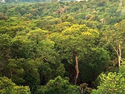 A 20 anni dal massacro di Haximu la febbre dell'oro minaccia gli Yanomami