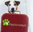 Usa, debutta Pet Airways