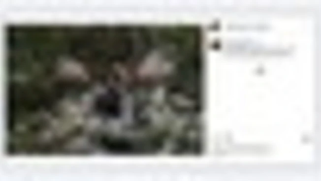 Taylor Swift e Travis Kelce si sposano