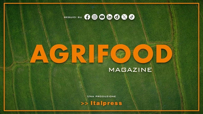 Agrifood Magazine - 10/6/2026