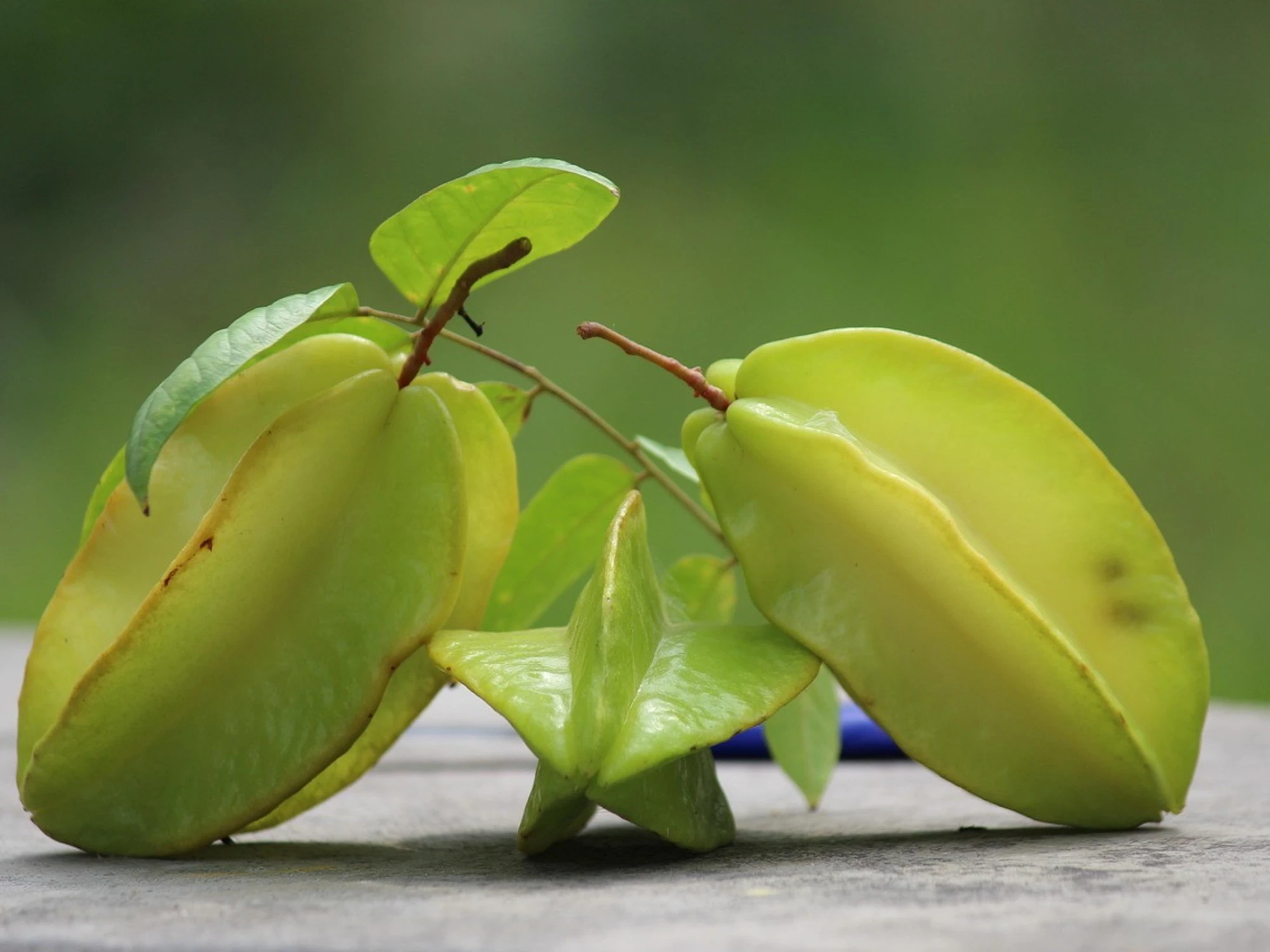 Carambola, il frutto-stella contro lo stress ossidativo
