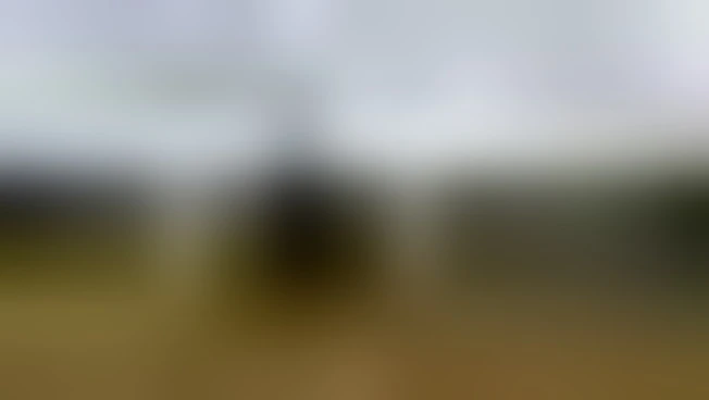 https://media.liberoquotidiano.it/Lk8OQuWcEynNJD859WS21utOV2ePSi4bGxGG_in7hU4/width:800/quality:90/aW1hZ2VzLzIwMjYvMDYvMjUvMTQwNjQ2NTY5LTE1ZWE5YzcwLWZkOWMtNDE5NS1iODIzLTg1ZWZhZDVjNDM5Yi5qcGc.webp