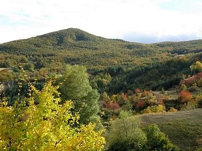 Sono 460 milioni le tonnellate di carbonio stoccate in parchi e riserve italiane