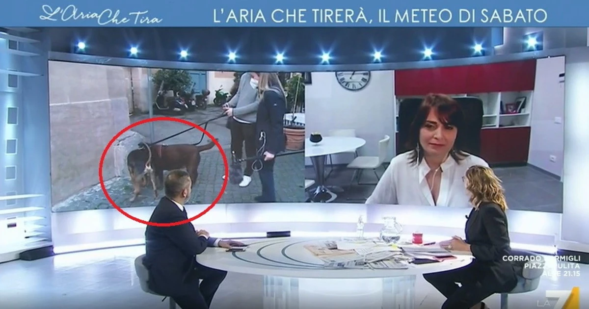 L'aria che tira, "quelli sono i miei cani?". Myrta Merlino nel panico, stop al programma: nel bel mezzo della diretta, la scoperta
