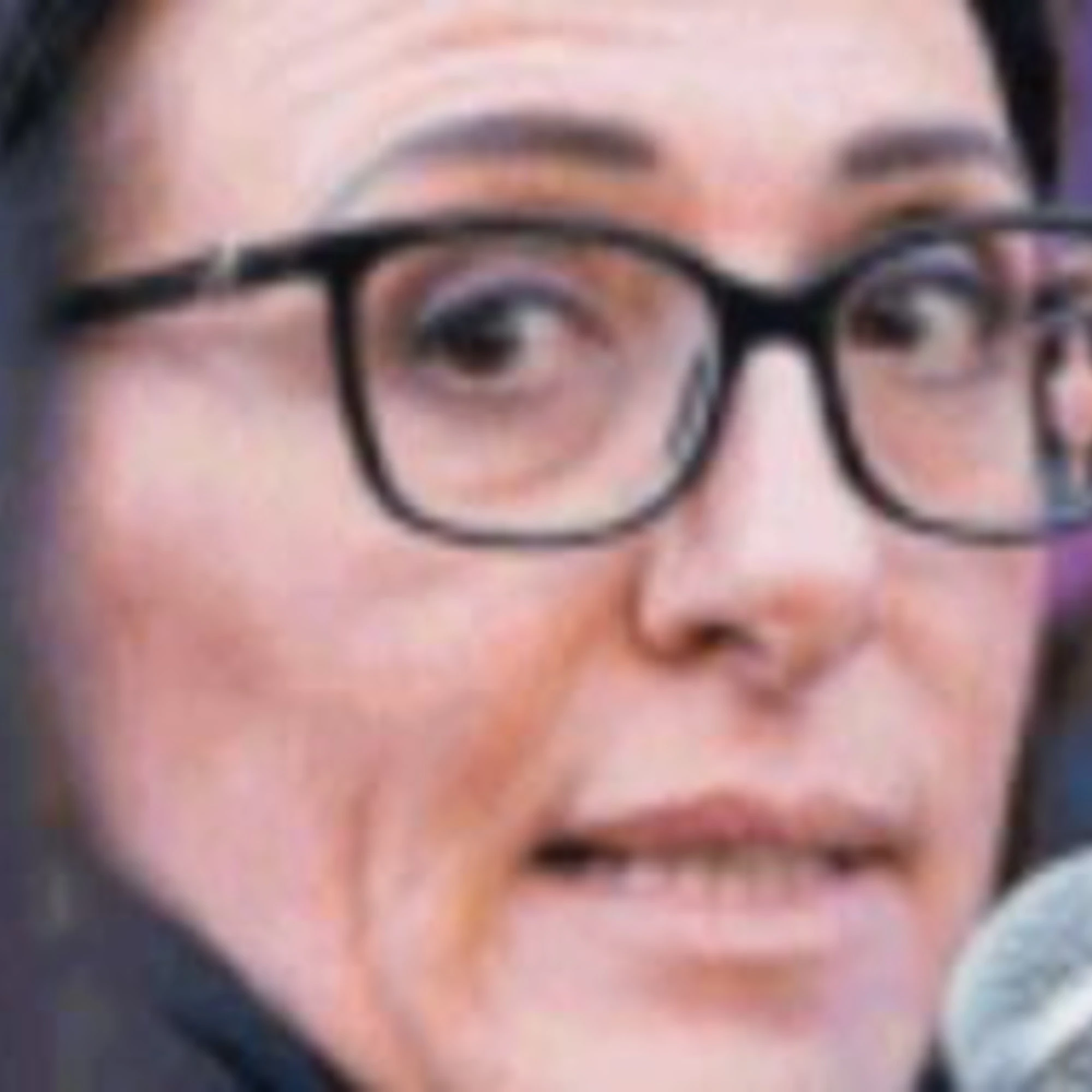 Nuovo delirio Pd: una legge per abolire il maschile