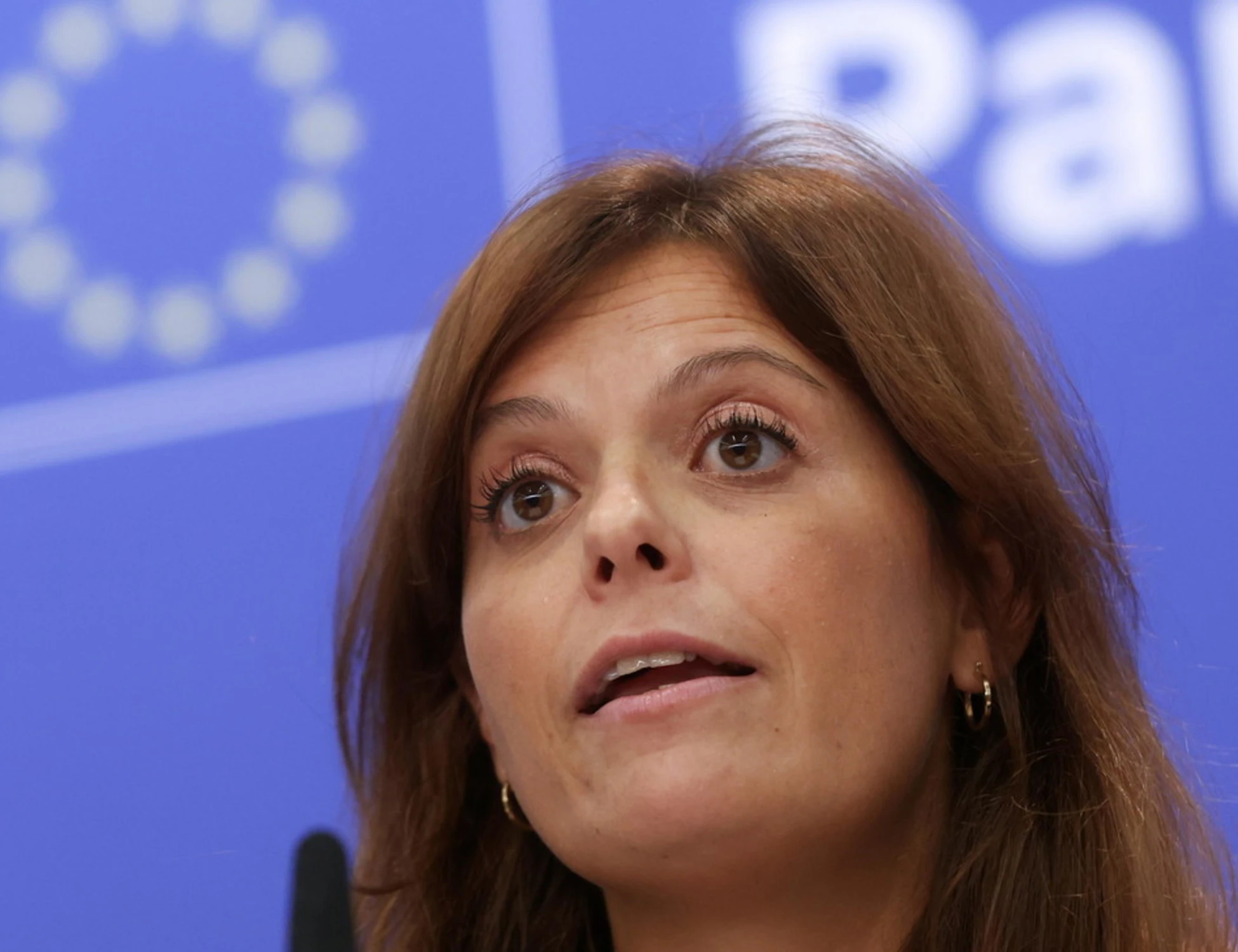 Ilaria Salis graziata dall'Ungheria? "In caso di conferma dell'immunità, processo annullato"