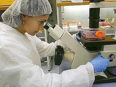 Bonus ricerca, domande da gennaio 2014