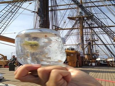 'Plastic Busters' al lavoro, effettuato monitoraggio nel Santuario Pelagos