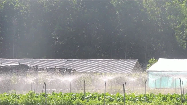 Nuove risorse per il Bando Agrisolare