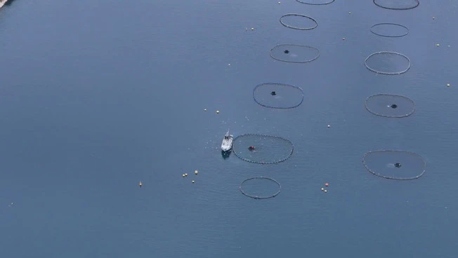 Pesca, 3 milioni per le imprese colpite dal maltempo