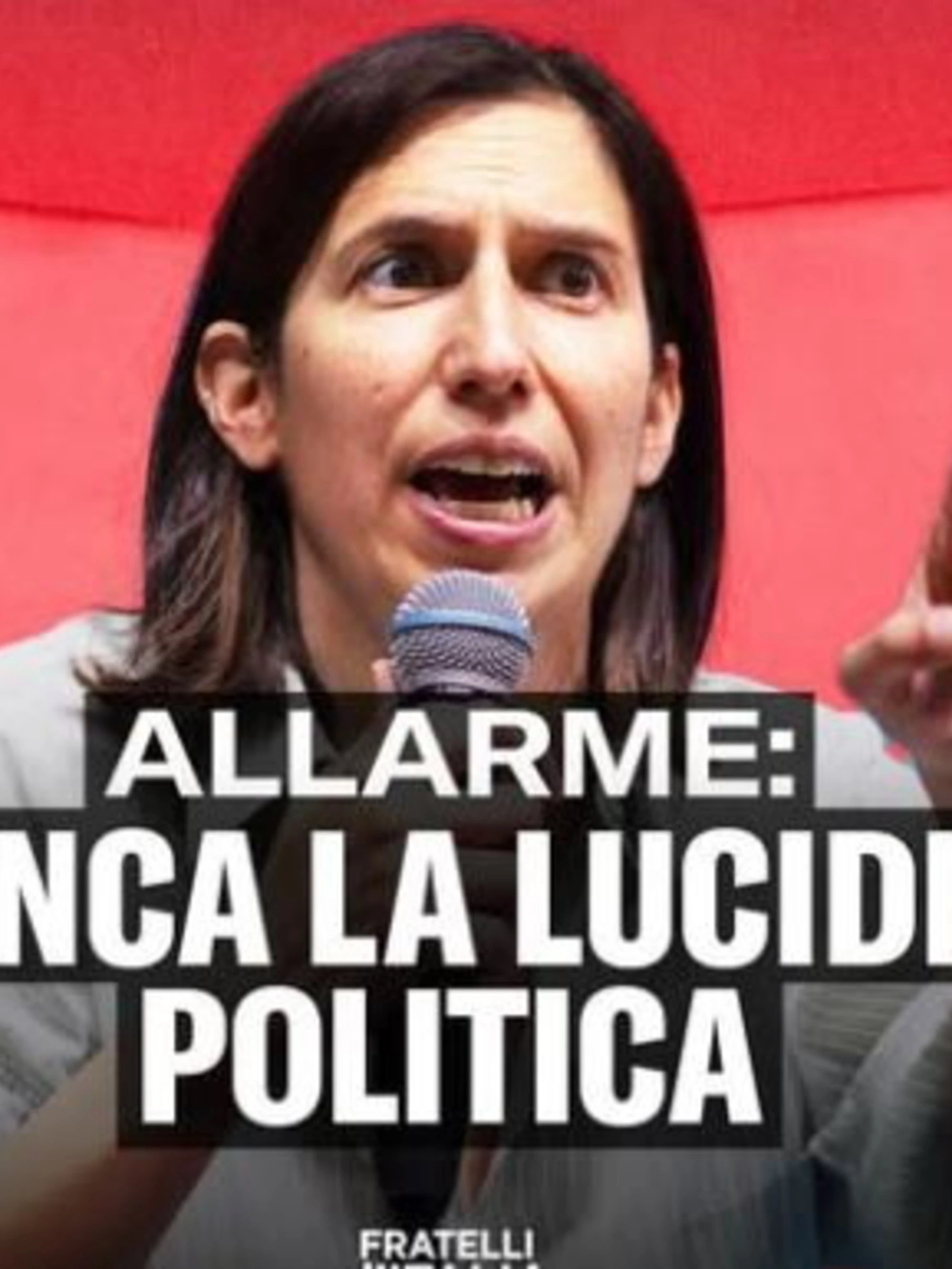 FdI smaschera Elly Schlein: "Democrazia in pericolo? Smettila di umiliarti"