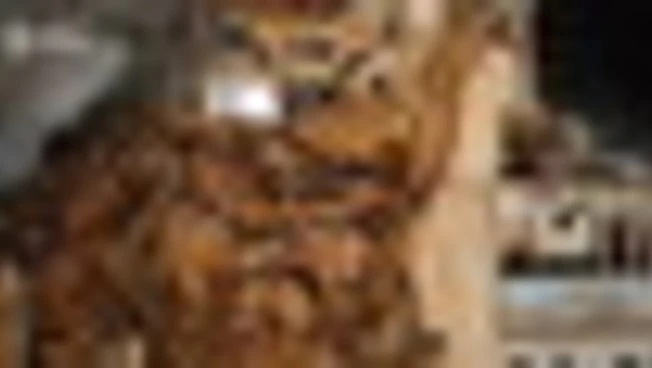 Ucraina ancora sotto le bombe russe, dopo incontri di Ginevra