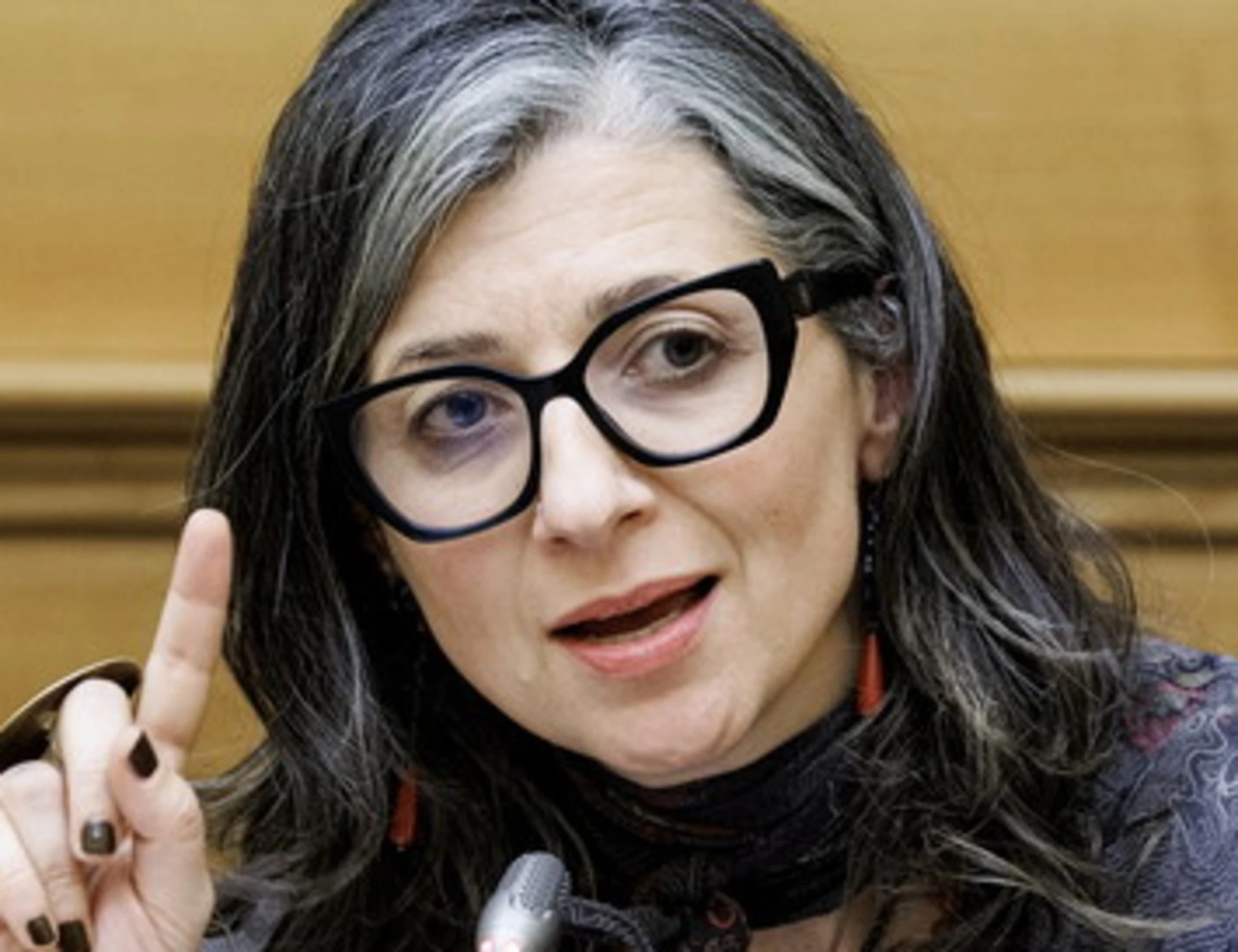 Francesca Albanese, le parole sull'antisemitismo fanno insorgere FdI
