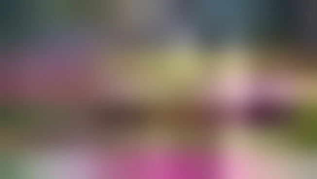 https://media.liberoquotidiano.it/MSPqxfqyprvV30mwsukDdEwXQnV4m7Oa8ECHRCOq_Wg/width:800/quality:90/aW1hZ2VzLzIwMjYvMDUvMTMvMTcyNDMwNzQxLTRiMjU0ODZiLWM4NDEtNGEyNS05NGMxLTE2MmE2YmM3NTFlZi5qcGc.webp
