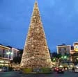 Napoli, albero di Natale rubato