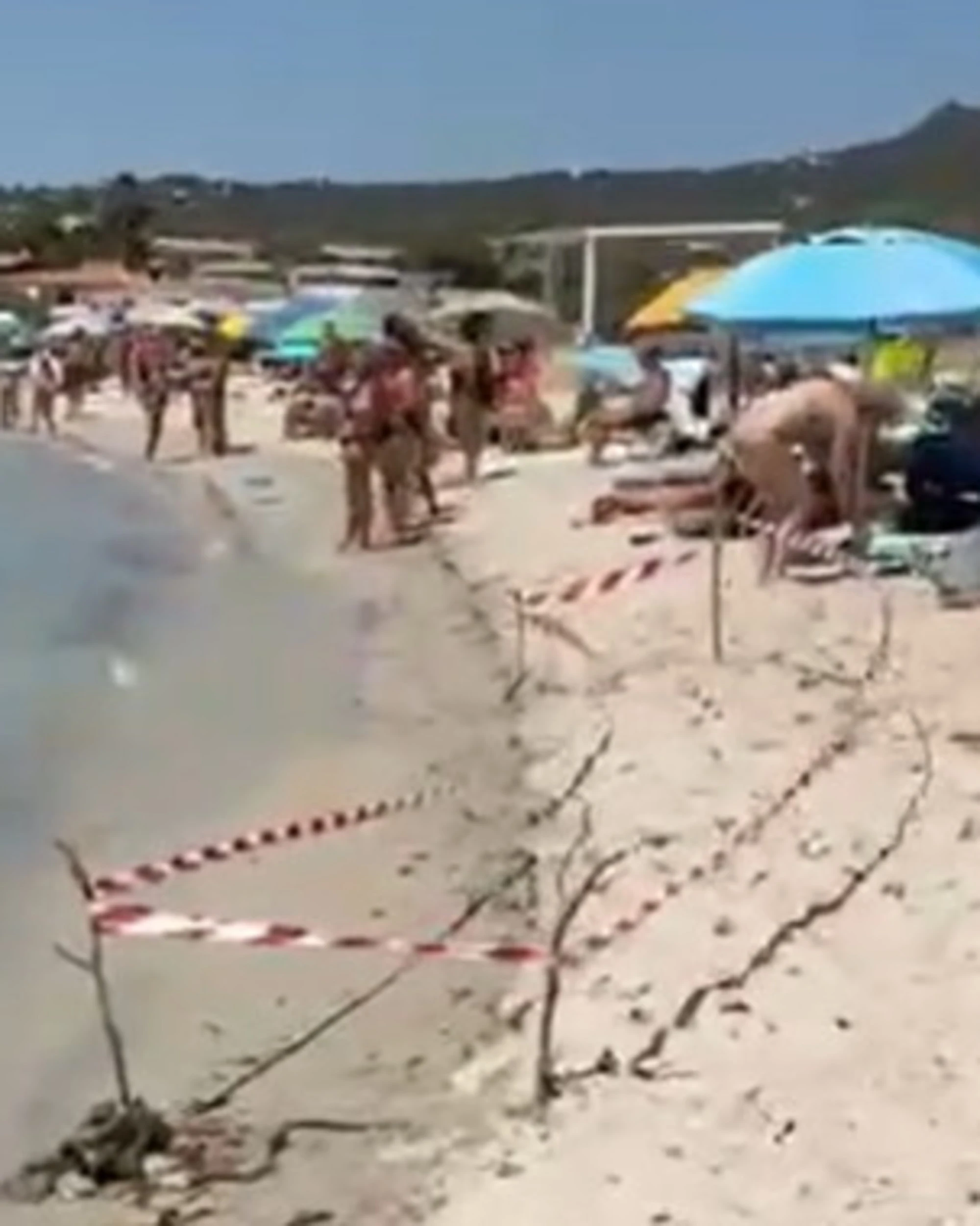 Olbia, orrore in spiaggia: il ritrovamento sconvolge i bagnanti