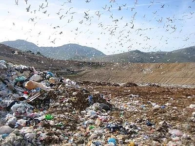 Rapporto 'Ecomafia', oltre 34mila reati contro l'ambiente nel 2012