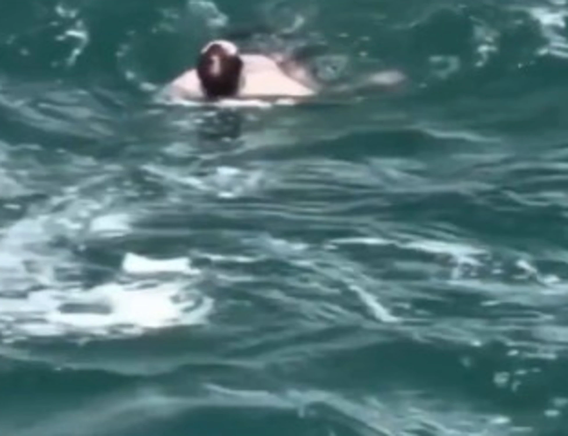 Canada, follia alle cascate del Niagara: si lancia da 52 metri, vivo per miracolo
