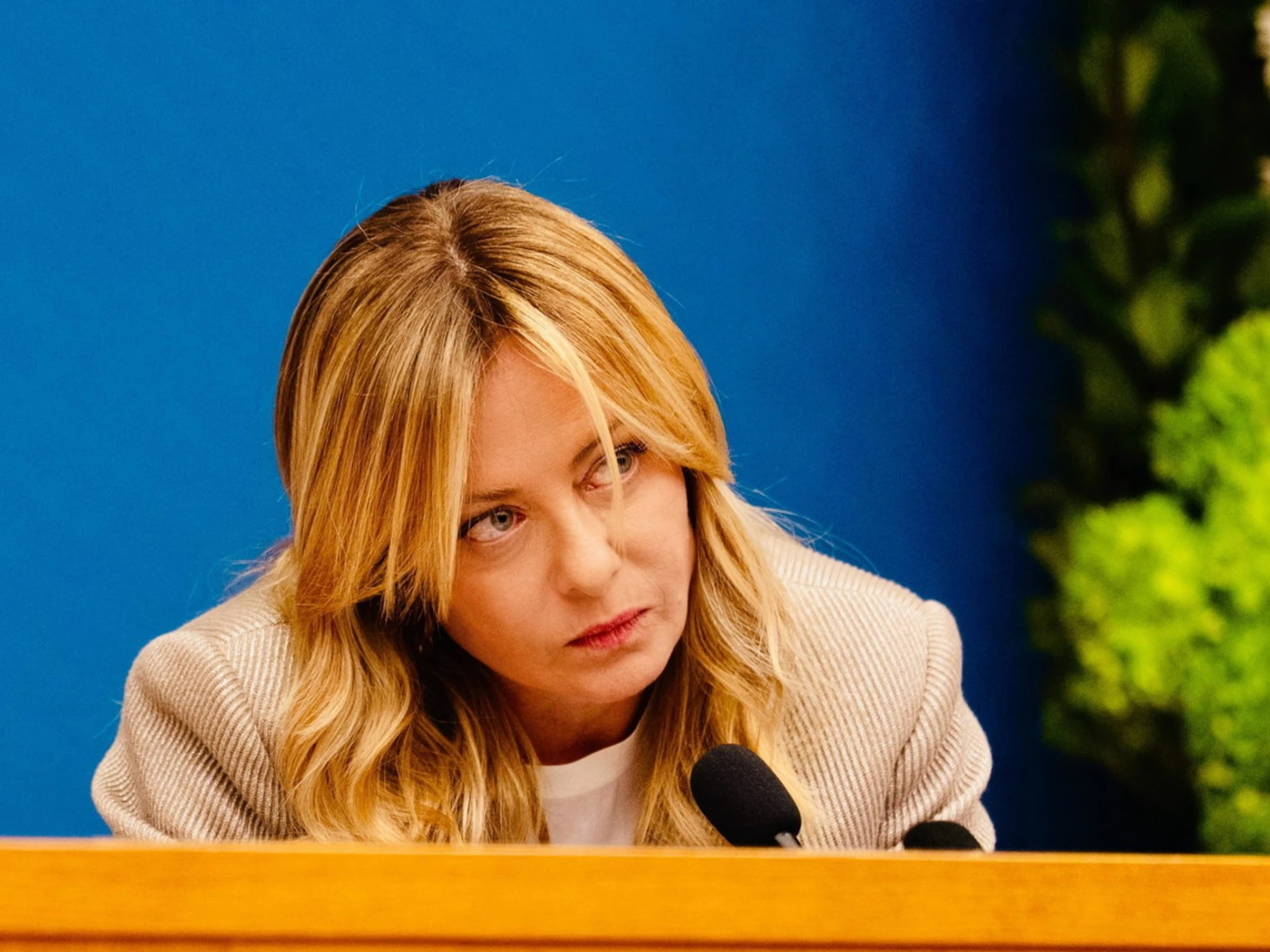 Motosega-Meloni: condividete le mosse della premier dopo il referendum?