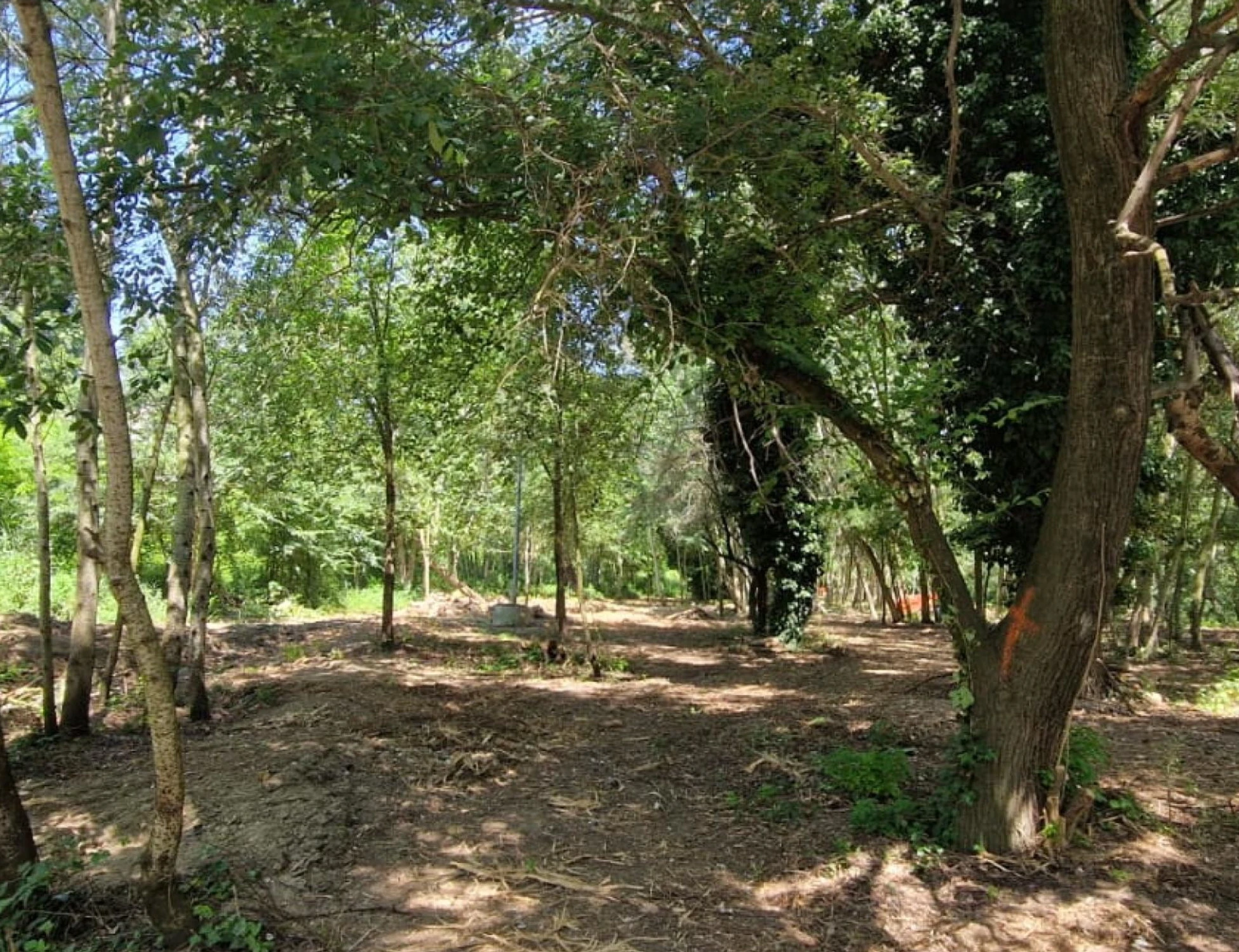 Violentata al parco, "un incubo durato 10 minuti": il racconto dell'orrore