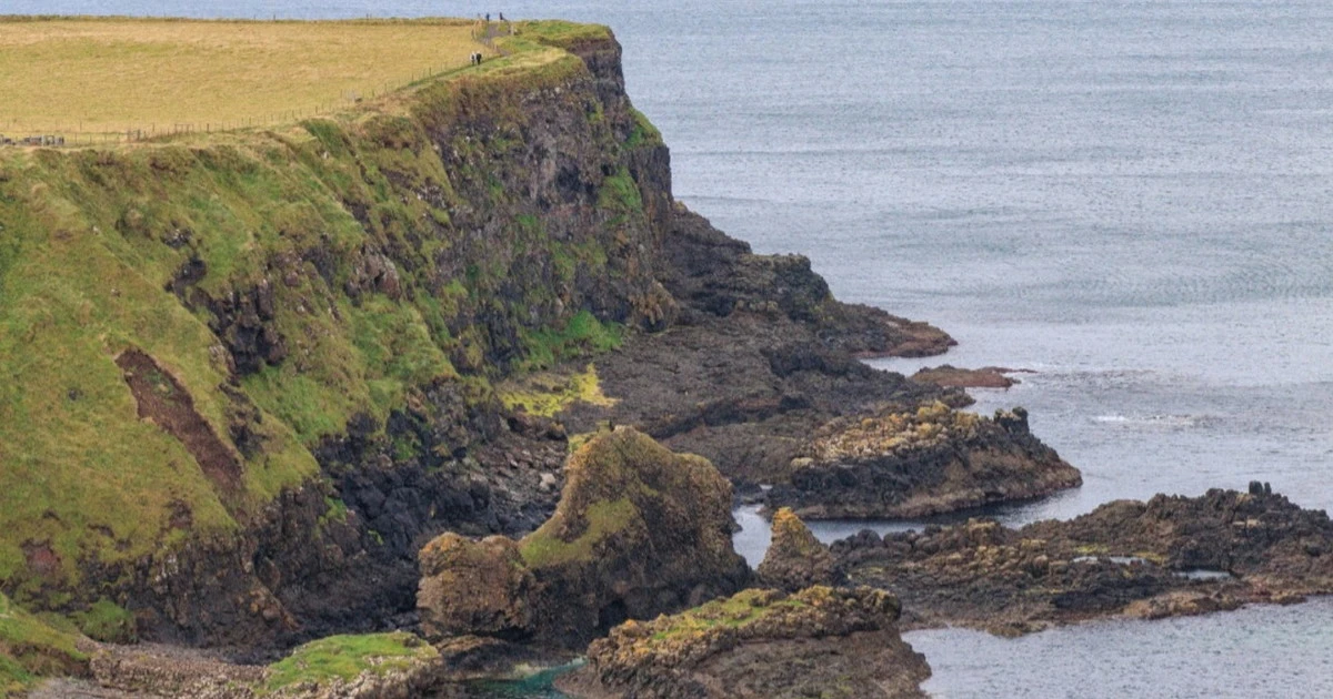 Sapori dell'Atlantico: viaggio culinario nell'ovest dell'Irlanda