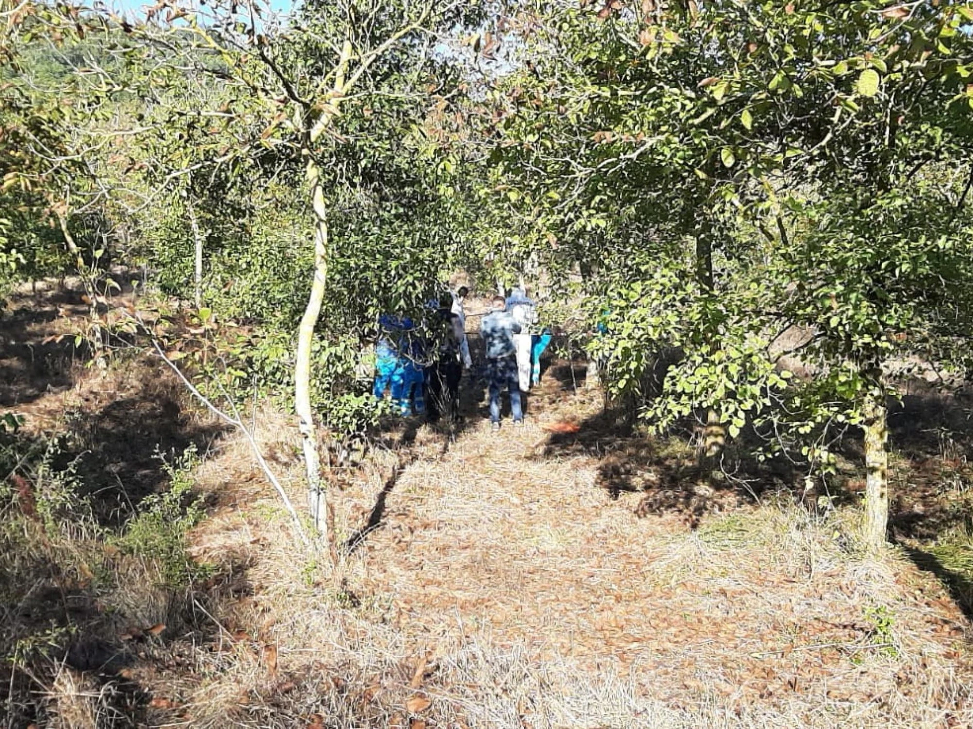 Messina, strage di cacciatori nel bosco: "Chi è sotto torchio"