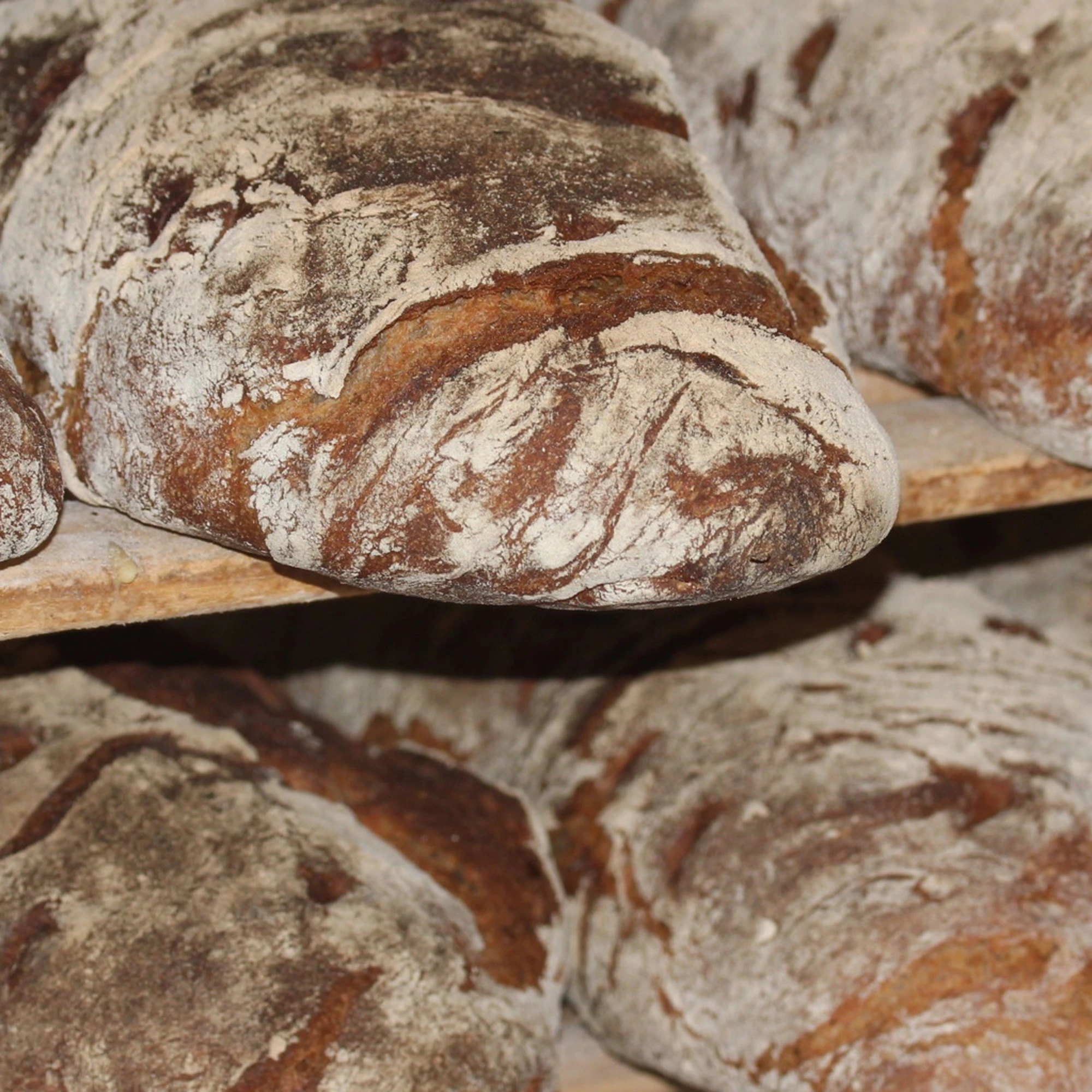 "Michette a rischio": siamo alla paranoia