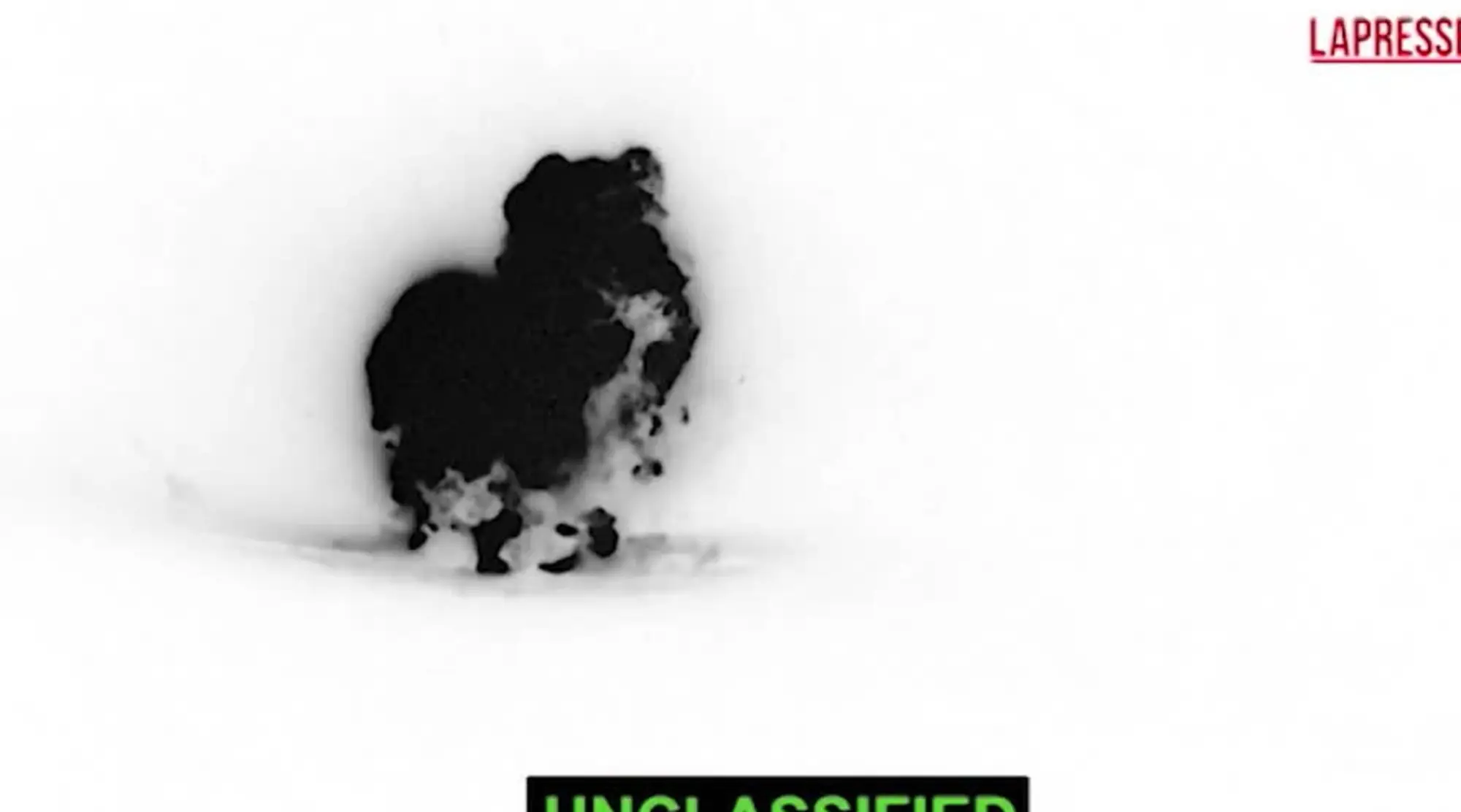 Trump, feroce vendetta: blitz in Siria, come ha massacrato l'Isis