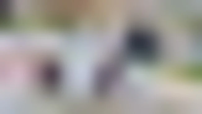 Natale con la Fise: gioia, speranza e sorrisi al Gemelli