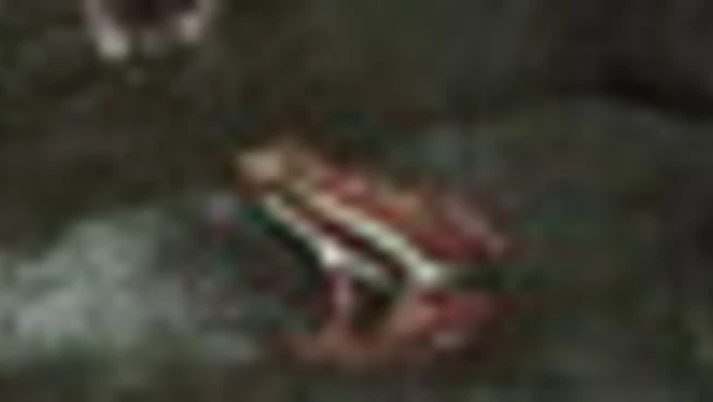 Navalny, esperti: tossina delle rane freccia si crea in laboratorio